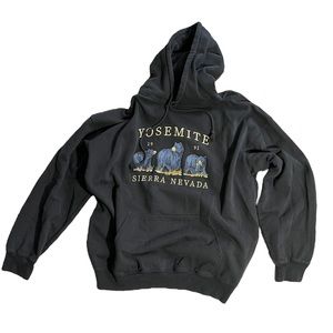 Brandy Melville hoodie